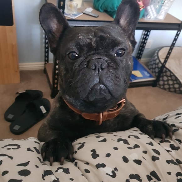 Meet your Posher, Ruth - Picture 7 of 8